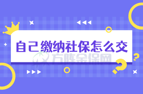 自己缴纳社保怎么交