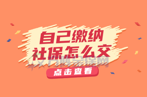 自己缴纳社保怎么交