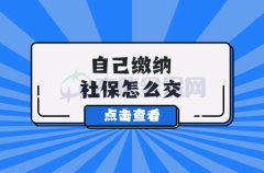 自己缴纳社保怎么交？给自己老年一个保障！