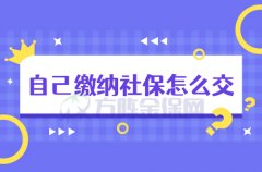 自由职业者自己缴纳社保怎么交？