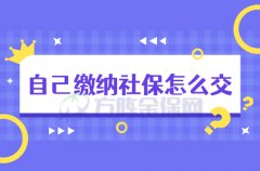 自由职业者自己缴纳社保怎么交？