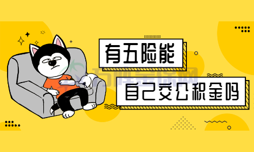 有五险能自己交公积金吗