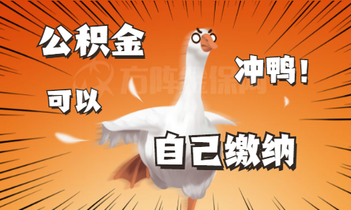 个人全额交公积金划算吗