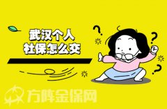 <b>武汉个人社保怎么交？你可以这样操作！</b>