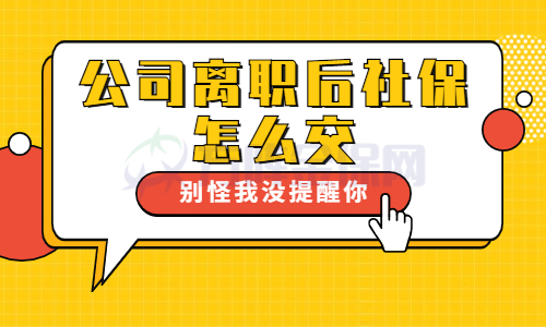 公司离职后社保怎么交