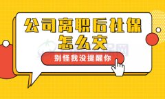 从公司离职后社保怎么交？代缴社保省心