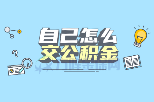 自己怎么交公积金