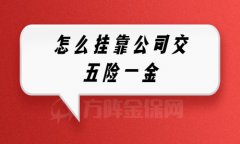 在武汉个人怎么挂靠公司交五险一金？