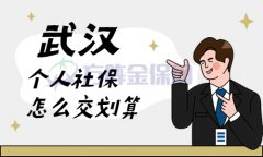 武汉个人社保怎么交划算？给您对比对比！