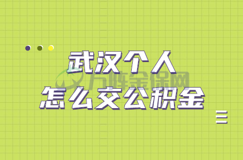 武汉个人怎么交公积金 武汉个人怎么交公积金