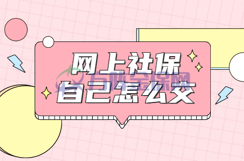 网上社保自己怎么交