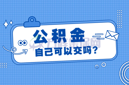公积金自己可以交吗