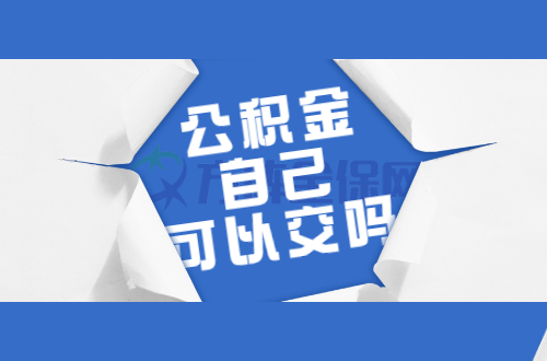 公积金自己可以交吗