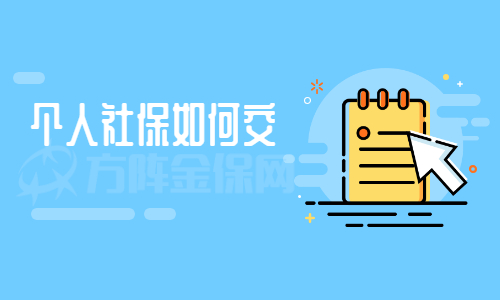 个人社保如何交