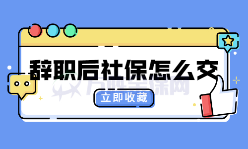 辞职后社保怎么交
