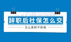 在武汉辞职后社保怎么交才能不断缴？