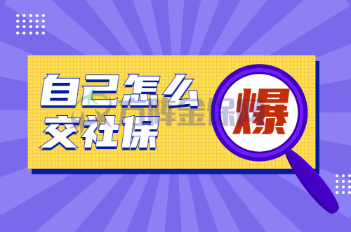 自己怎么交社保