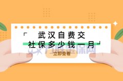 武汉自费交社保多少钱一个月，小编为您解答