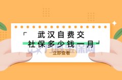 武汉自费交社保多少钱一个月，小编为您解答