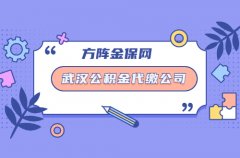 <b>武汉公积金代缴公司能干什么？</b>