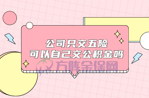 公司只交五险可以自己交公积金吗