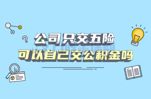 公司只交五险可以自己交公积金吗