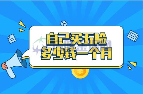 自己买五险多少钱一个月