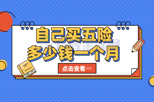 自己买五险多少钱一个月