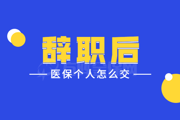 辞职后医保个人怎么交