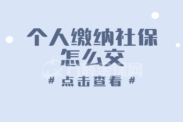 个人缴纳社保怎么交