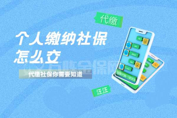 个人缴纳社保怎么交