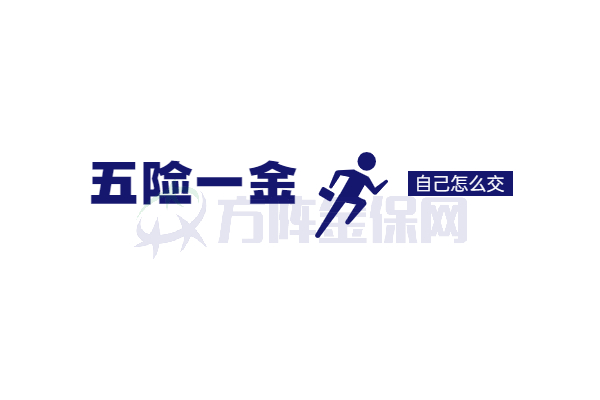 五险一金自己怎么交