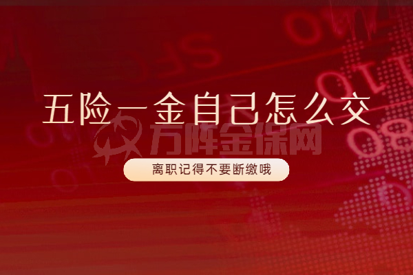 五险一金自己怎么交