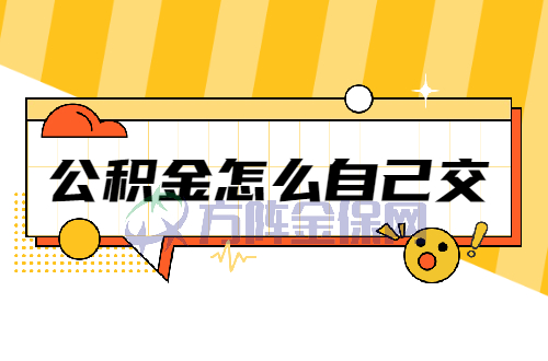 公积金怎么自己交