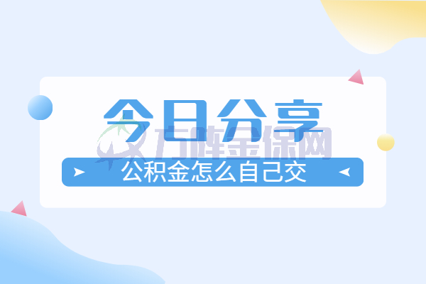 公积金怎么自己交