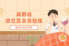 这份工作不想干了，离职后自己怎么交社保？