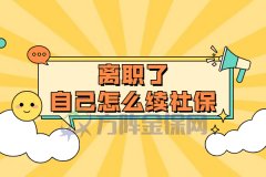 在武汉离职了自己怎么续社保呢？