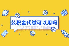 自己找人力资源公司，公积金代缴可以用吗？