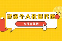 说说那些武汉个人社保代缴的事