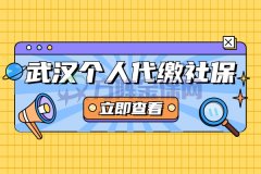 武汉个人代缴社保多少钱一个月？