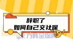 年底辞职了如何自己交社保？