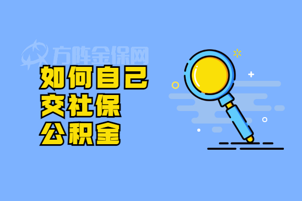 如何自己交社保公积金