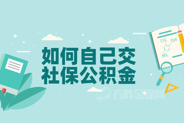 如何自己交社保公积金