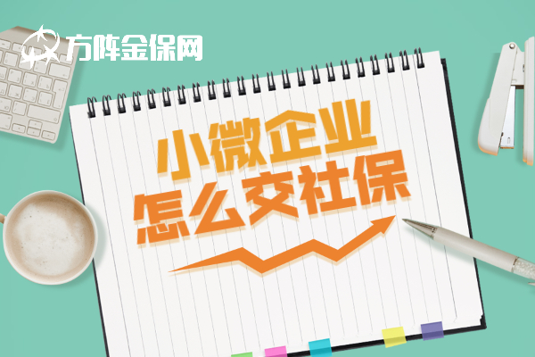 小微企业怎么交社保