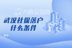 作为新一线城市的武汉社保落户什么条件？