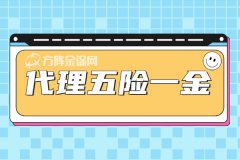 个人代理五险一金怎么样？