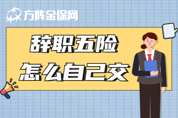 辞职五险怎么自己交