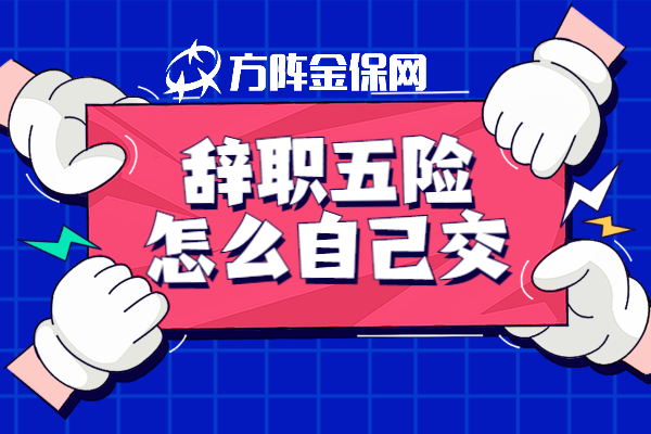辞职五险怎么自己交
