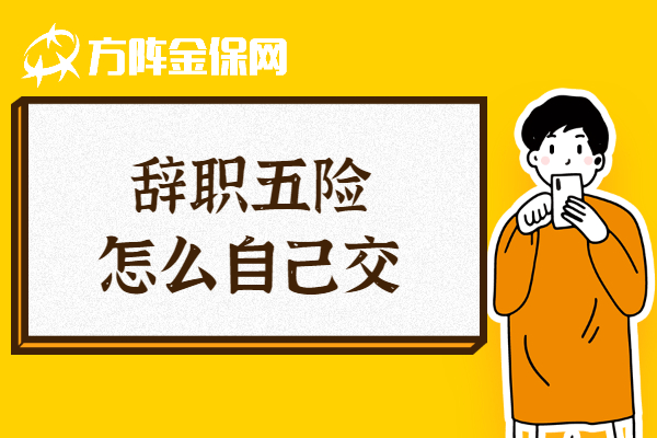 辞职五险怎么自己交