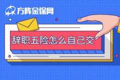 没有新单位，辞职五险怎么自己交？